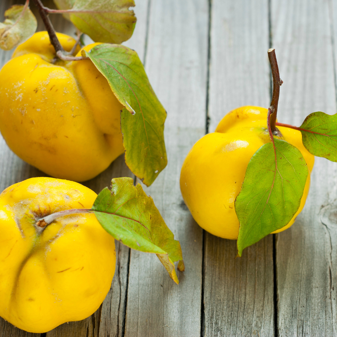 Mointz Weinschorle - mit sonniger Quitte (0,33l)